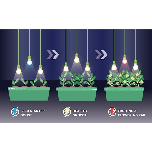 2-Socket Seed To Flower LED  Grow Light Kit 4PK